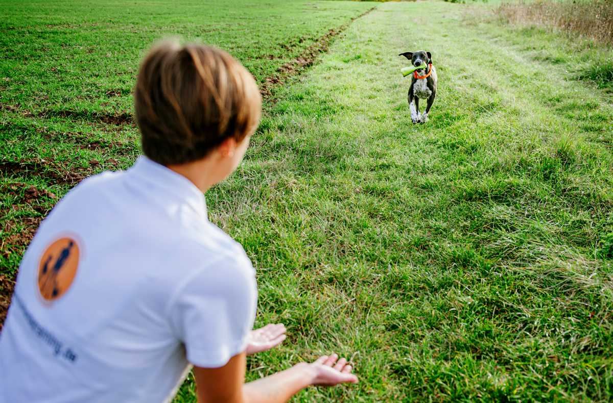 Hund läuft mit einem Spielzeug im Maul über eine Wiese, im Vordergrund kniet Robine Klinner mit Futterbeutel